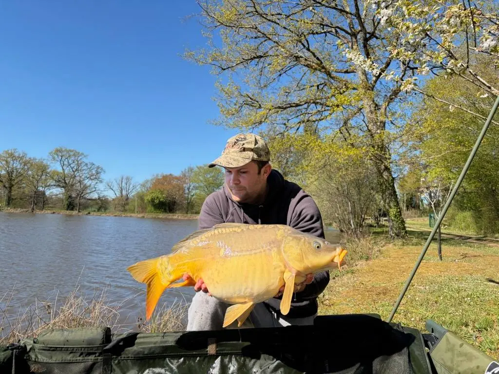 Poste 1 : "La Digue"... ETANG RIVALAIS 2 - ETANG RENIERE - DOMAINE RIVALAIS