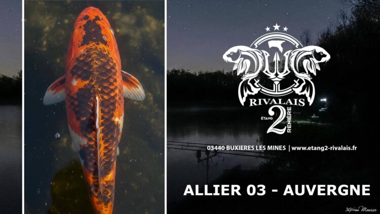 ETANG RENIERE - DOMAINE RIVALAIS 2 BUXIERES LES MINES {{brizy_dc_image_alt imageSrc=