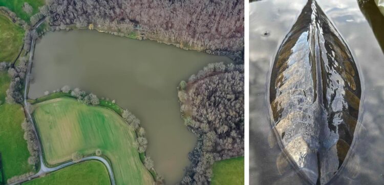 DOMAINE RIVALAIS 2 - ETANG RENIERE - SITE DE PÊCHE CARPES A Buxières-les-Mines (ALLIER) {{brizy_dc_image_alt imageSrc=